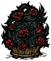 Loyal Rose Collection Rose Bushel Decorate with the Shadow Queen's favorite flower.