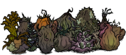 Rotting Giant Crops.png