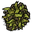 Kelp Patch.png