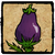 Navbox Eggplant Farm.png