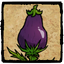 Eggplant Stalk