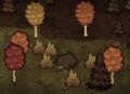 A set piece found in Don't Starve Together where a Moose/Goose nest will be spawned during spring.