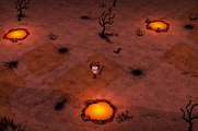 The Dragonfly's Set Piece in Don't Starve Together featuring Magma pools.
