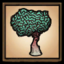Brainy Sprout Settings Icon.png