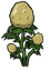 Potato Plant.png