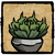Navbox Potted Succulent.png