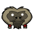 Complimentary Festive Headgear Give your beefalo a pair of pom-pom pigtails. See ingame