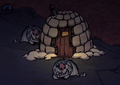 The MacTusks' Blue Hounds sleeping by the igloo at night.