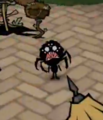 Webber in Dont Starve New Home
