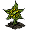 Toma Root Plant Med.png