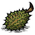 Original HD Durian icon from Bonus Materials from CD Don't Starve.