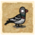 Navbox Pigeon.png