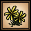 Flower Settings Icon.png