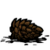 Pine Cone.png
