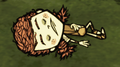 Wigfrid asleep at the beginning of the game.