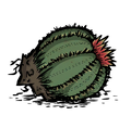 Unused Dropped Oasis Cactus as an Item