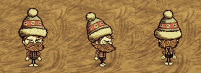 Winter Hat Woodie.png