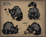 Concept sketches of the Catcoon.