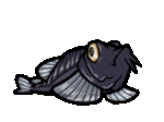 Death Black Catfish