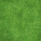 Meadow Turf Texture.png