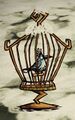 Snowbird imprisoned in a Birdcage.