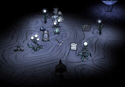 Cave Camp with Single, Double and Triple Light Flowers.