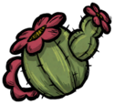 Woven - Elegant Cactus Water Can A prickly pear with water to spare. See ingame