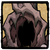 Navbox Cave Cleft.png
