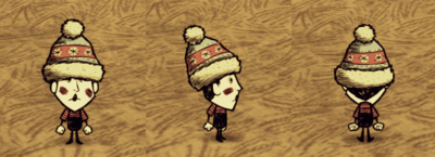 Winter Hat Wes.png