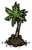 Palm Tree Sapling.png