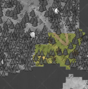 Forest Mole Section.png