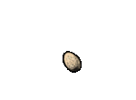 Bird Egg hatch unused animation