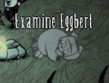 A Pig named Eggbert.