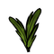 Carrot Plant Small.png