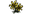 Flower.png