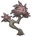 Weathered Tree.png