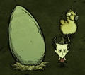 The egg from which Moslings hatch, with Wilson for scale.