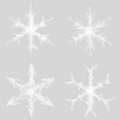 Regular snowflakes.