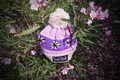 Pink Winter Hat replica with Don't Starve logo.