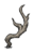 Weathered Branch.png