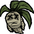 Original HD Mandrake icon from Bonus Materials from CD Don't Starve.