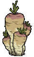 giant parsnip idle