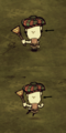 Due to a bug, Wolfgang's mustache disappears while moving with the Tam o'Shanter equipped.