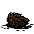 pinecone.png
