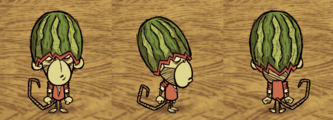 Wilbur wearing a Fashion Melon.