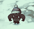 Werepig wearing a Winter Hat