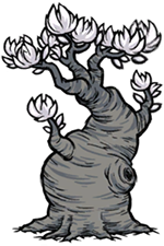 Lune Tree.png
