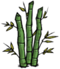 Bamboo Patch.png