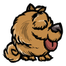 Woven - Elegant Purebred Vargling This puppy has a chubby face you can't help but smush. So cute! Xem trong game