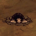Một con Chũi Trùng đang ngủ trên mặt đất vì bị mất hang.